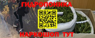 прущие крисы Малгобек