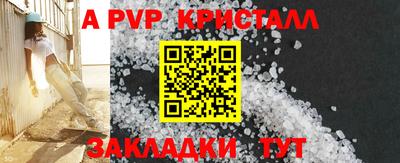 прущие крисы Малгобек