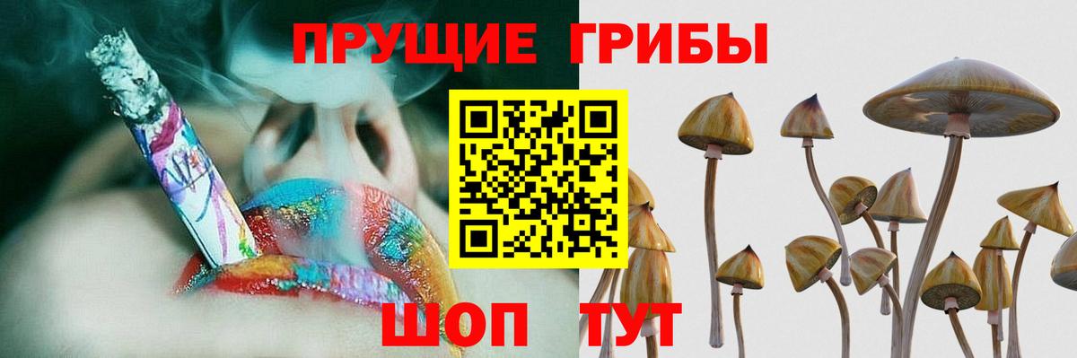 Псилоцибиновые грибы ЛСД Хасавюрт